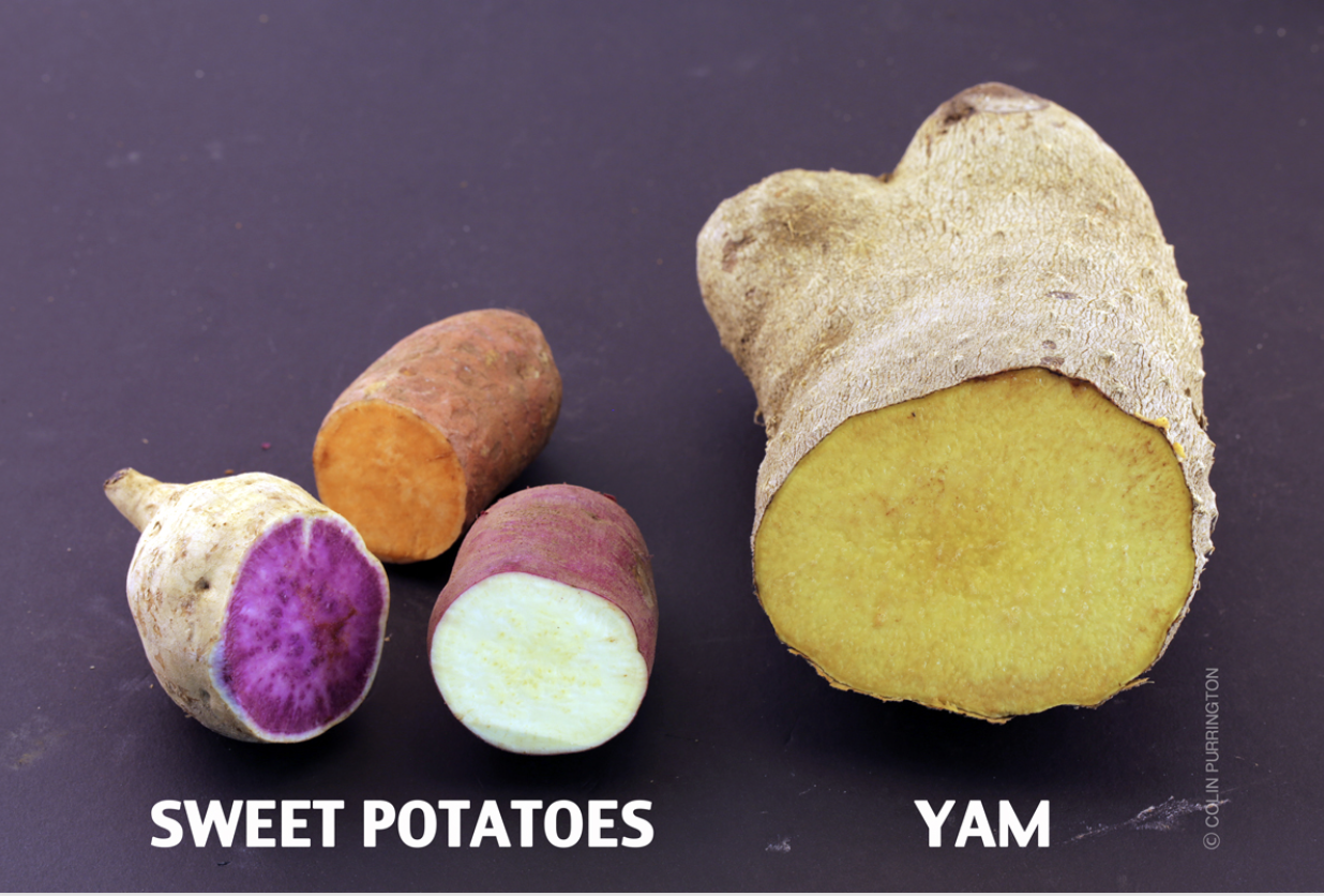 Sweet Potato VS Yam